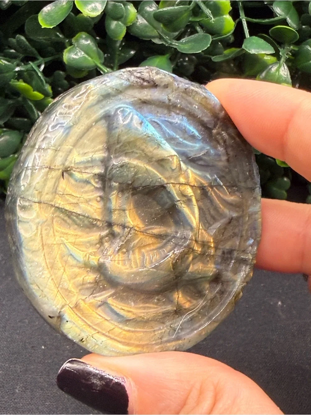 Full Flash Labradorite Shark Medallion
